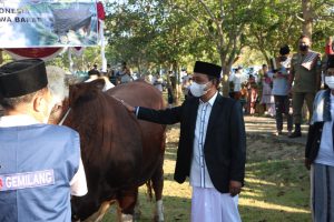 Untuk Kurban, Jokowi Pilih Sapi Lokal Lombok Timur