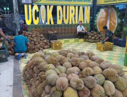 Pernah Cicipi Ucok Durian Medan?