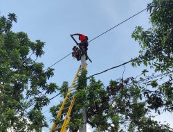 Hadapi Cuaca Ekstrim, PLN Imbau Masyarakat Gunakan Listrik secara Aman