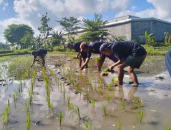 Berdayakan WBP Asimilasi, Lapas Lobar Eksekusi Lahan 1,5 Hektare