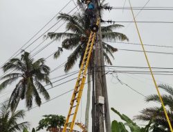 PLN Atasi Gangguan Tiang Roboh di Gapuk Lombok Barat