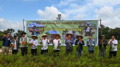 Taiwan Technical Mission Presentasi Panen Bawang di Sumatera Utara   