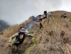 Kebakaran di Bukit Anak Dara Berhasil Dipadamkan, Area Terbakar Capai 286 Hektar