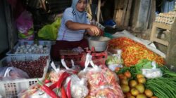 Harga Cabai Muali Turun Jadi Rp 100 per Kilogram