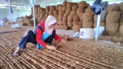 Menghidupkan Lahan, Menggerakkan Ekonomi:  Reklamasi Kolaboratif AMMAN dan Masyarakat KSB