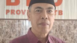 Pemprov Sebut Sewa Mobil Listrik Untuk Efisiensi 