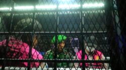 Jaksa Tetapkan Dua Tersangka Kasus Markup Jual Beli Lahan MXGP Samota