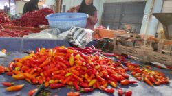 Harga Cabai Merkoket, Gubernur Minta Batasi Pengiriman ke Luar 