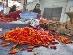 Harga Cabai Merkoket, Gubernur Minta Batasi Pengiriman ke Luar 