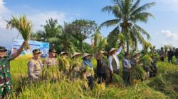 Ketahanan Pangan NTB Masuk Kategori Aman