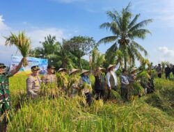 Ketahanan Pangan NTB Masuk Kategori Aman