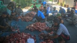 DKM Nurul Iman Sepakek Distribusikan 800 Paket Daging Kurban untuk Warga