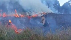 Kebakaran Savana Propok di Taman Nasional Gunung Rinjani Berhasil Dipadamkan, Tim Gabungan Dikerahkan