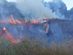 Kebakaran Savana Propok di Taman Nasional Gunung Rinjani Berhasil Dipadamkan, Tim Gabungan Dikerahkan