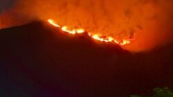 Bukit Sempana Sembalun Kebakaran, 25 Pengunjung Berhasil Dievakuasi