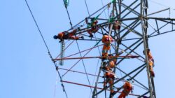 Semangat Kemerdekaan RI ke-81, PLN UIW NTB Perkuat Keandalan Listrik Melalui Pemeliharaan Tanpa Padam