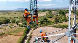 PLN Perkuat Keandalan Listrik Pulau Sumbawa, Rawat Jaringan Transmisi hingga Pelosok