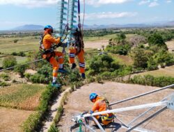 PLN Perkuat Keandalan Listrik Pulau Sumbawa, Rawat Jaringan Transmisi hingga Pelosok