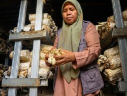 Setahun Desa Berdaya Medana, PLN dan Klub Baca Perempuan Tumbuhkan Ekonomi yang Menghidupkan Aksi Sosial